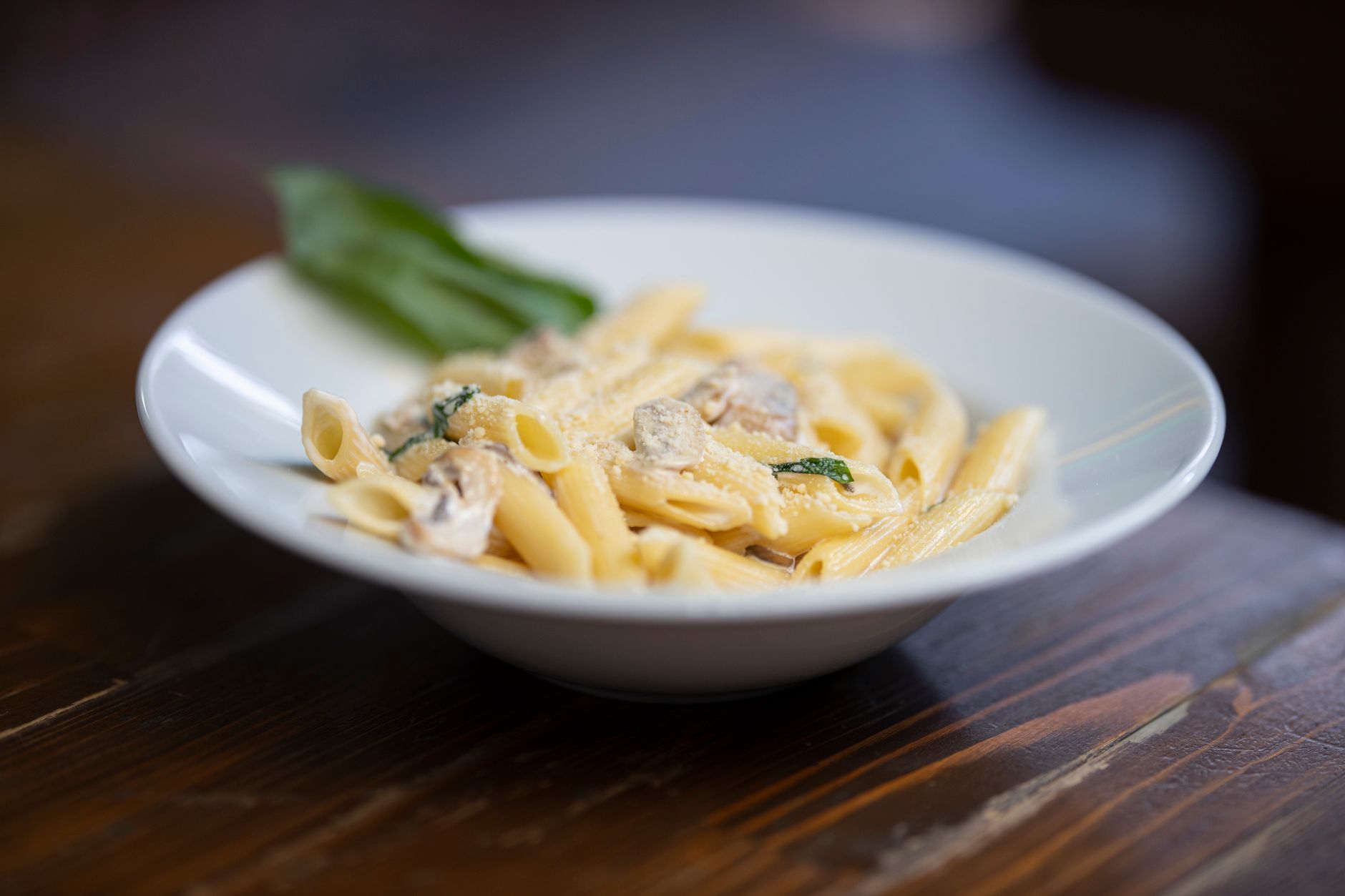 Creamy Garlic Parmesan Pasta