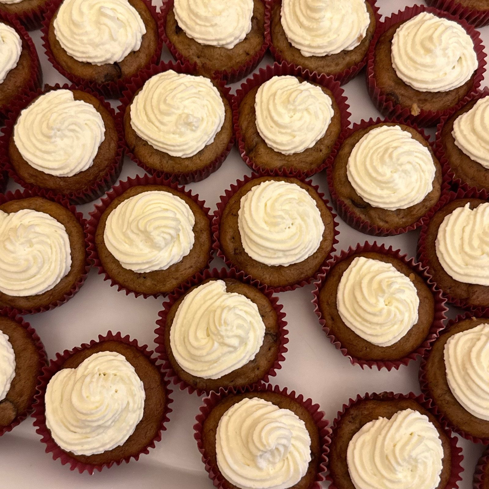 Vanilla Cupcakes