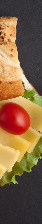 Cheese and Tomato Sandwich