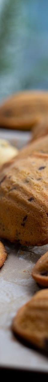 Chocolate Chip Madeleines