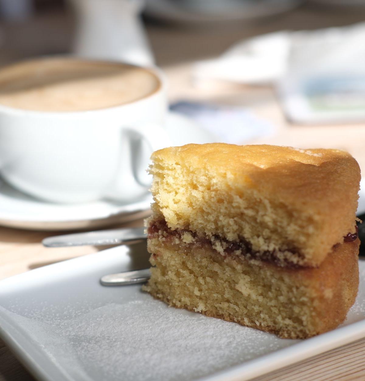 Chocolate Cream-filled Sponge Cake