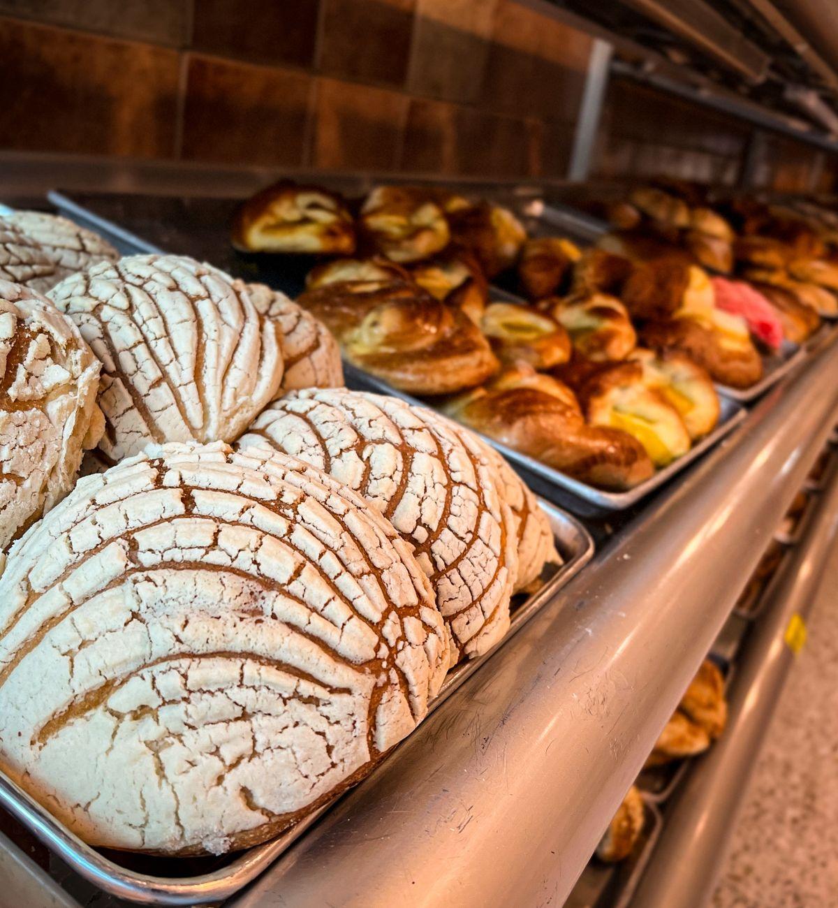 Conchas
