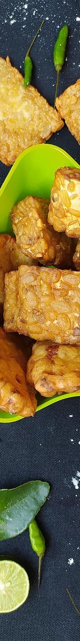 Fried Tempeh