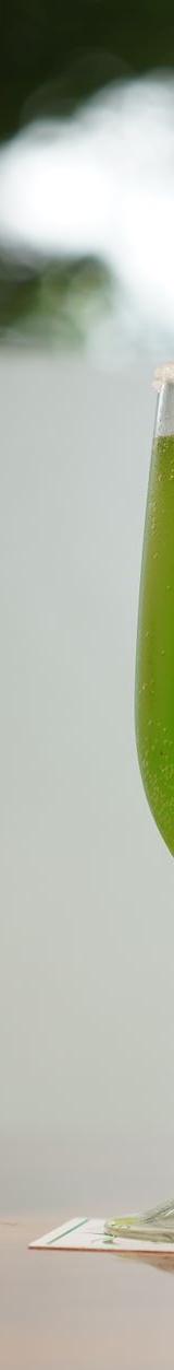 Green Mojito
