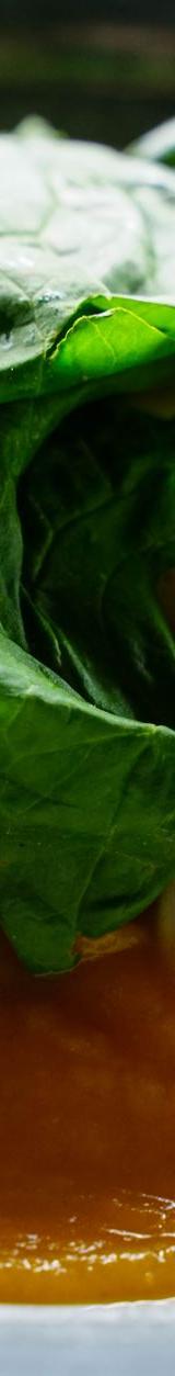 Grilled Calamari with Spinach and Lemon