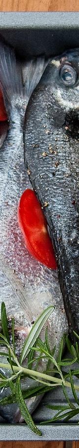Grilled Fish with Rosemary and Tomatoes