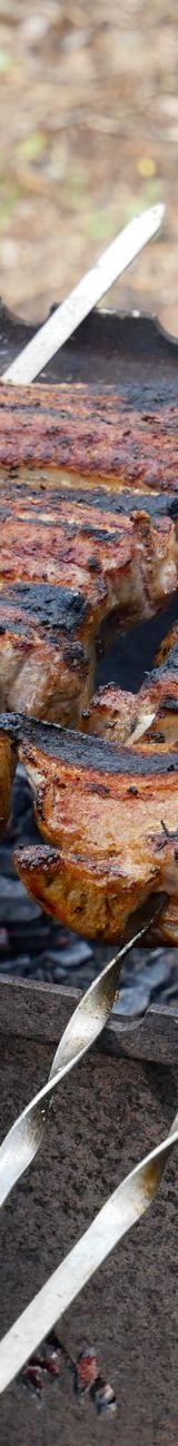 Grilled Pork Ribs on Skewers