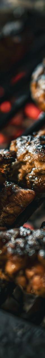 Grilled Skirt Steak