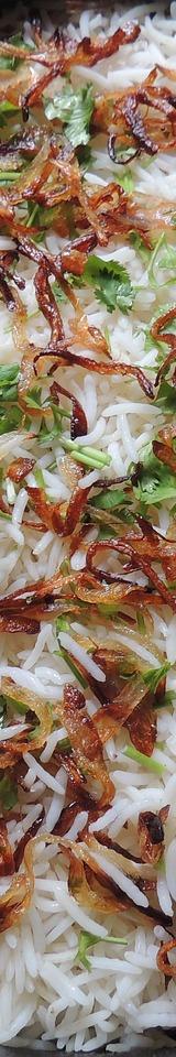 Hyderabadi Biryani