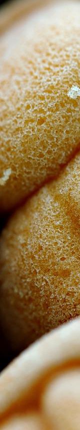 Japanese Sponge Cake