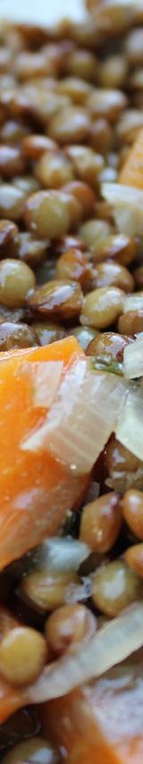 Lentil and Carrot Stew