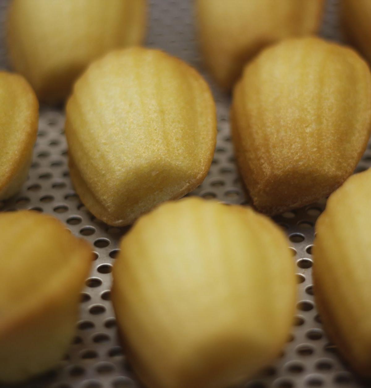 Madeleines