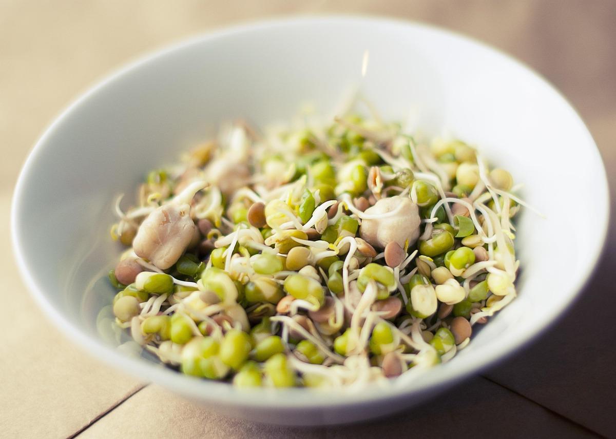 Mung Bean Sprout Salad