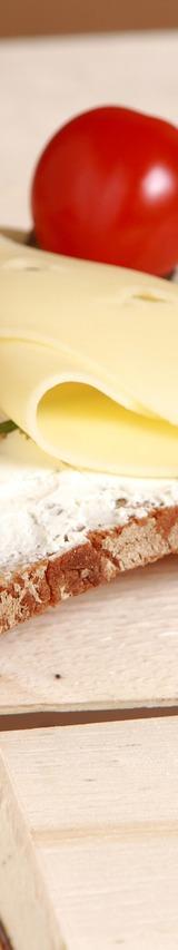 Open-faced Sandwich with Ham and Cheese