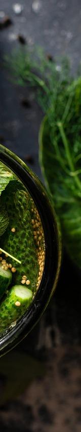 Pickled Cucumbers