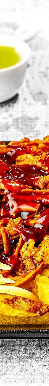 Pulled Chicken Fries