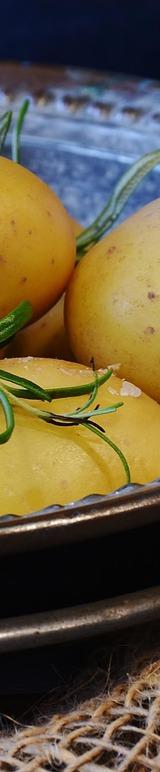 Roasted Potatoes with Rosemary