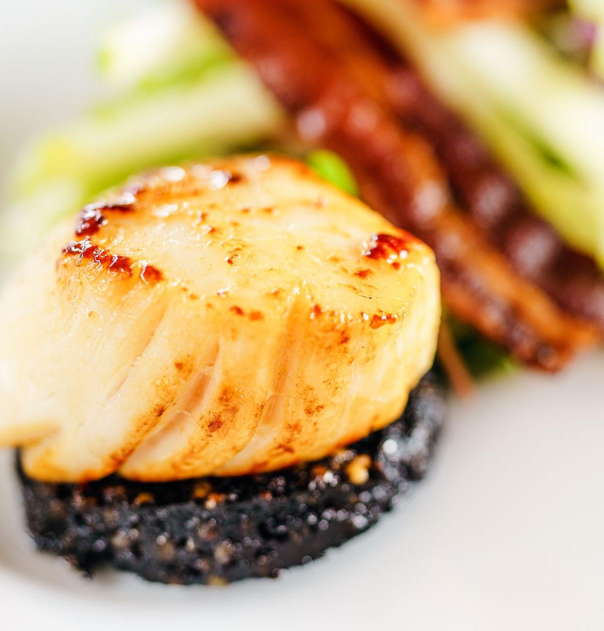 Seared Scallop with Black Risotto and Bacon
