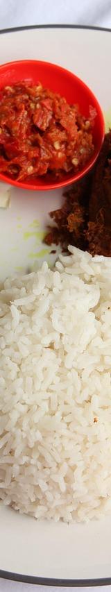 Smashed Chicken with Rice