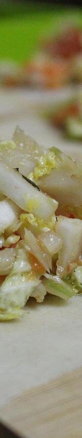 Spring Roll Wrappers with Filling