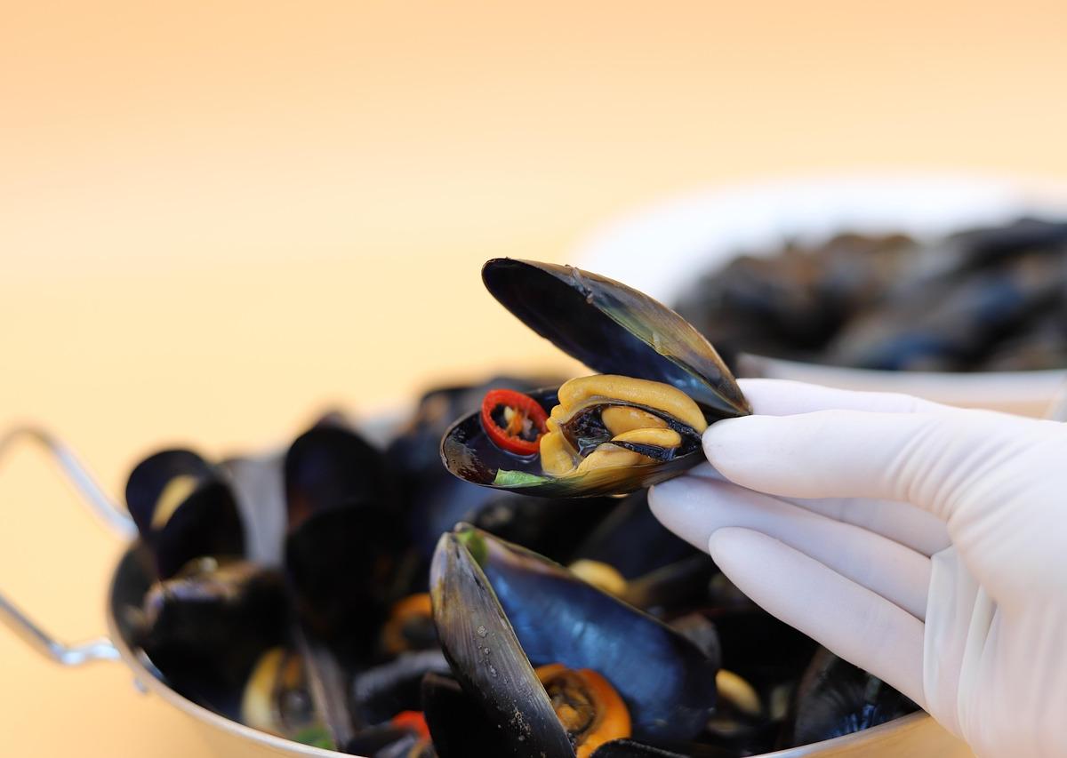 Steamed Mussels