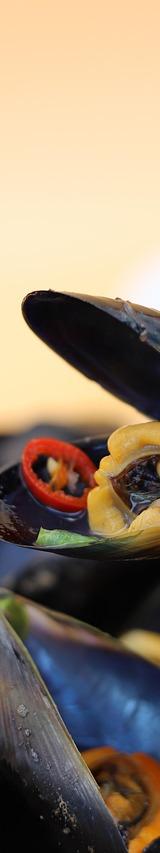 Steamed Mussels