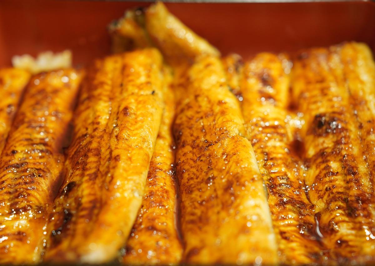 Teriyaki Mackerel