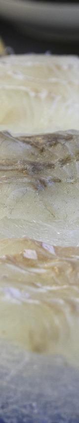 Tiradito