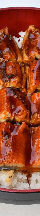 Grilled Eel Rice Bowl