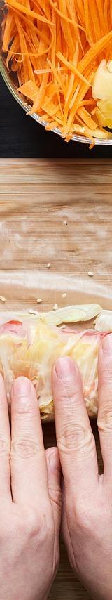 Vegetarian Spring Rolls