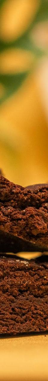 20-Min Fudgy Brownie Bites
