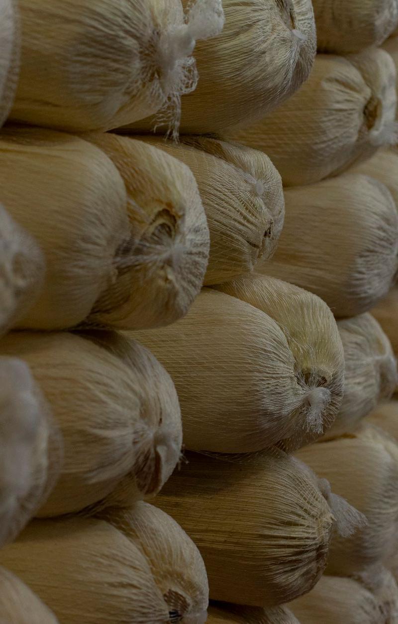 20-Min Pork Tamales with Red Sauce