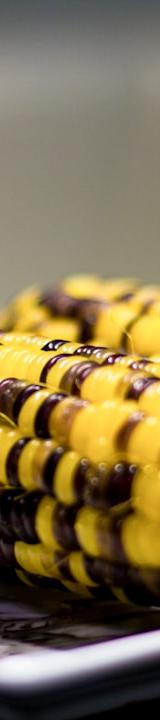 Air Fryer Corn on the Cob