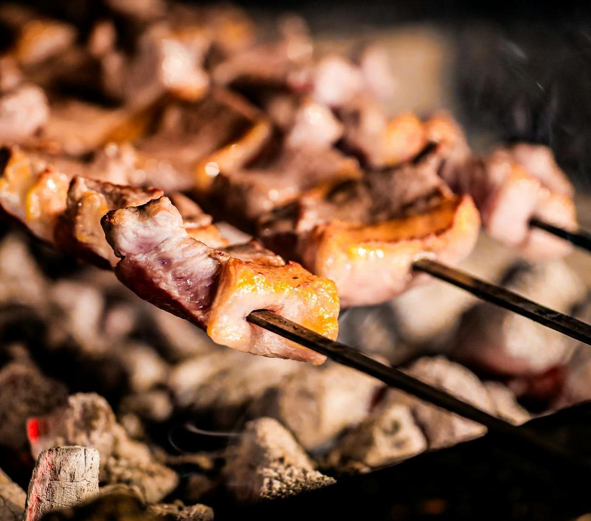 Aleppo Spiced Grilled Lamb Kebab