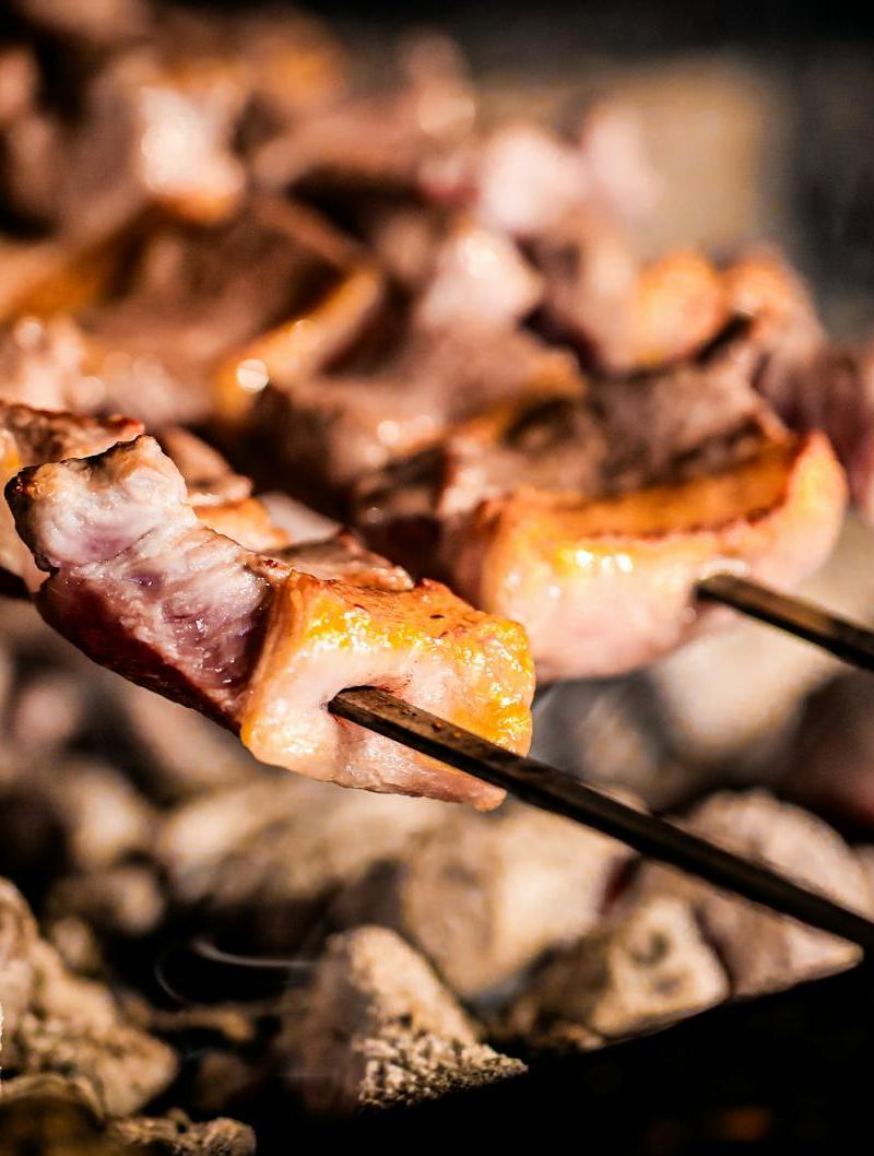 Aleppo Spiced Grilled Lamb Kebab