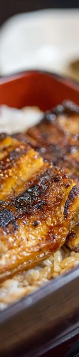 Anago Don