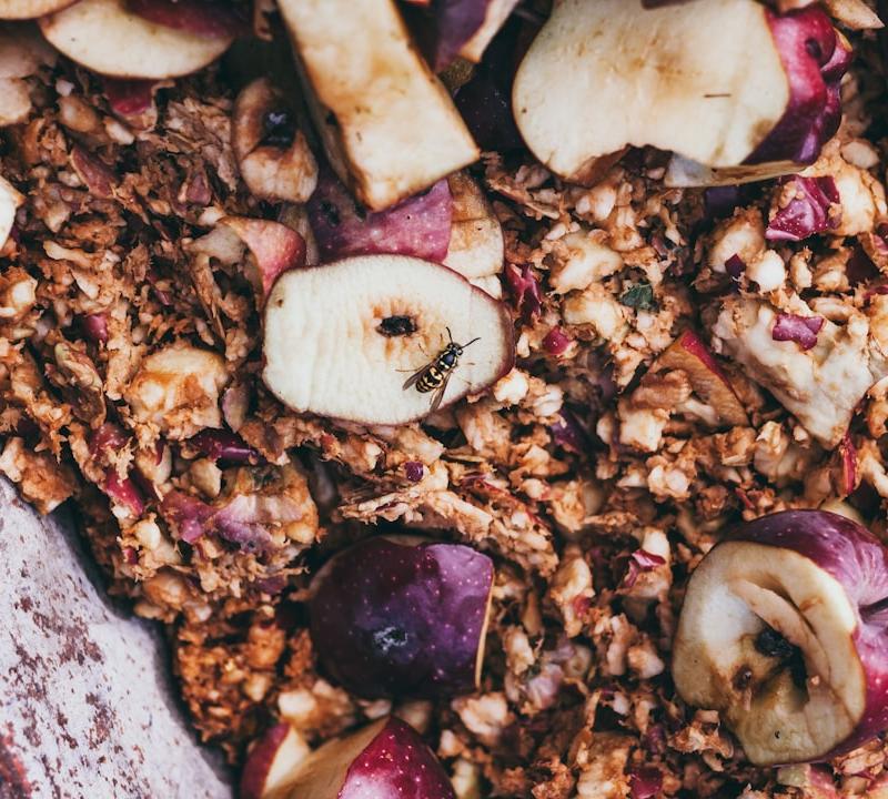 Apple Cinnamon Baked Oatmeal