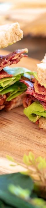 Avocado BLT