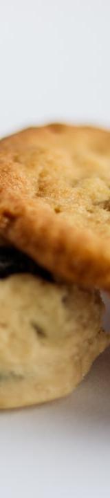 Bakery-Style Chocolate Chip Cookies