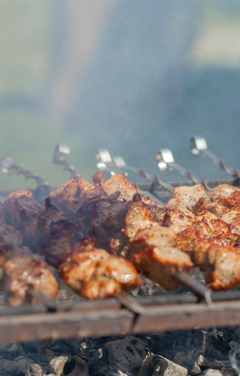 Balkan Grilled Pork Skewers