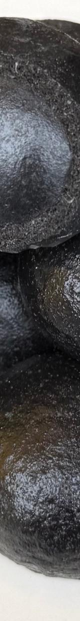 Black Bean Manju