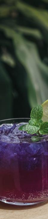 Blackberry Lemonade