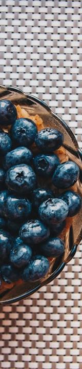 Blueberry Oatmeal Bowl