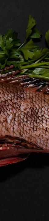 Branzino al Sale