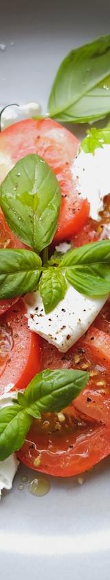 Burrata Tomato Basil Salad
