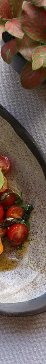 Burrata with Cherry Tomatoes