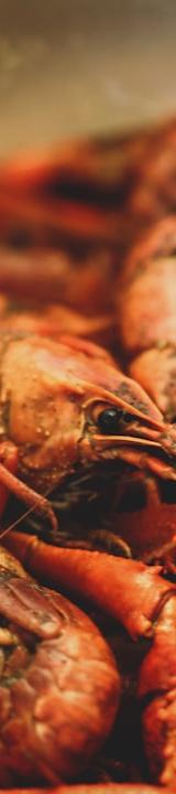 20-Min Cajun Shrimp & Corn Foil Packet