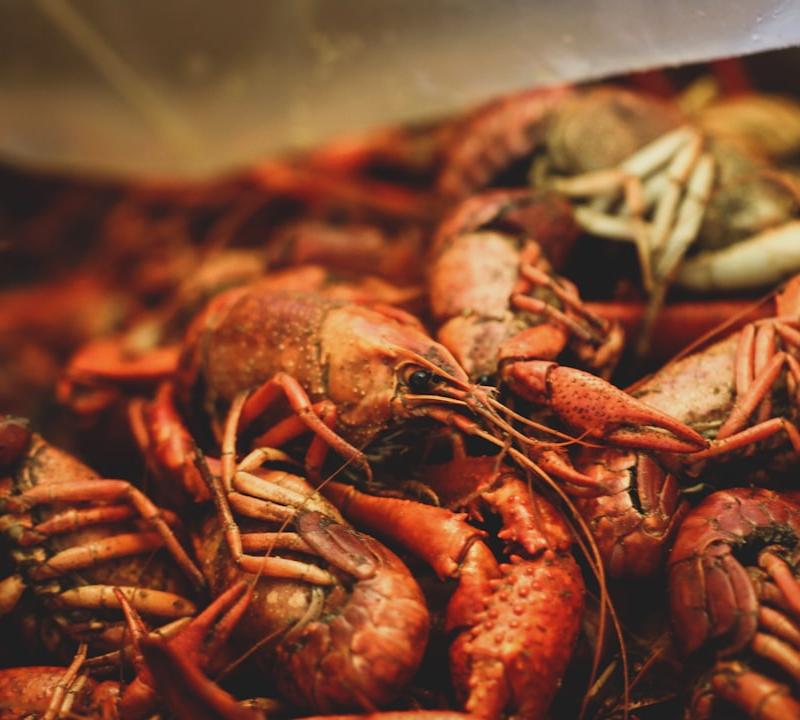 20-Min Cajun Shrimp & Corn Foil Packet