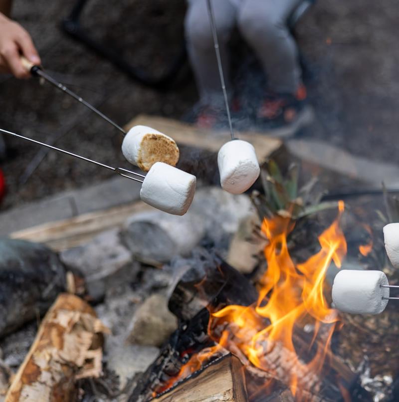 Campfire S'mores
