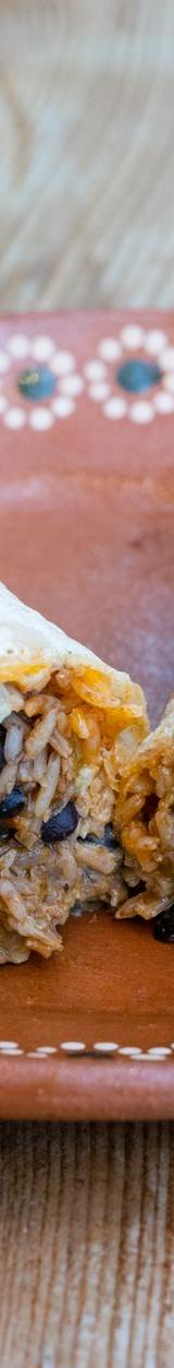 Carnitas Burrito